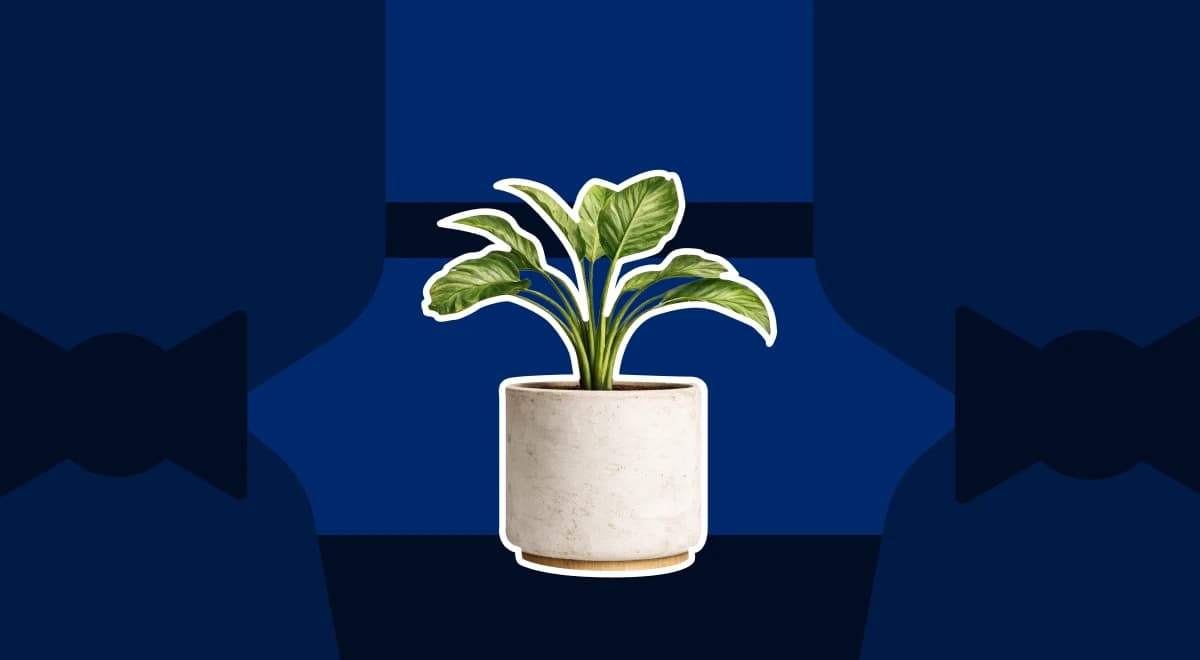 Green tropical plant in a white ceramic pot centered on a dark navy blue abstract background symbolizing personal growth and self-improvement