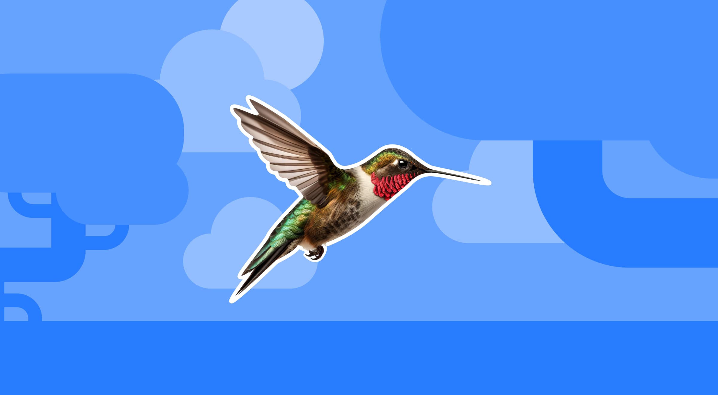 A realistic hummingbird in mid-flight against a light blue background with abstract cloud shapes, illustrating animal trivia about small birds